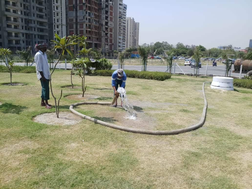 Maintenance of Green Belt, Sector 90, Noida