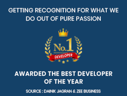 Best Developer of The Year