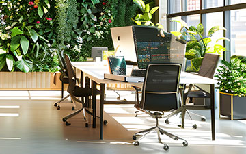 Truly Green Office Spaces